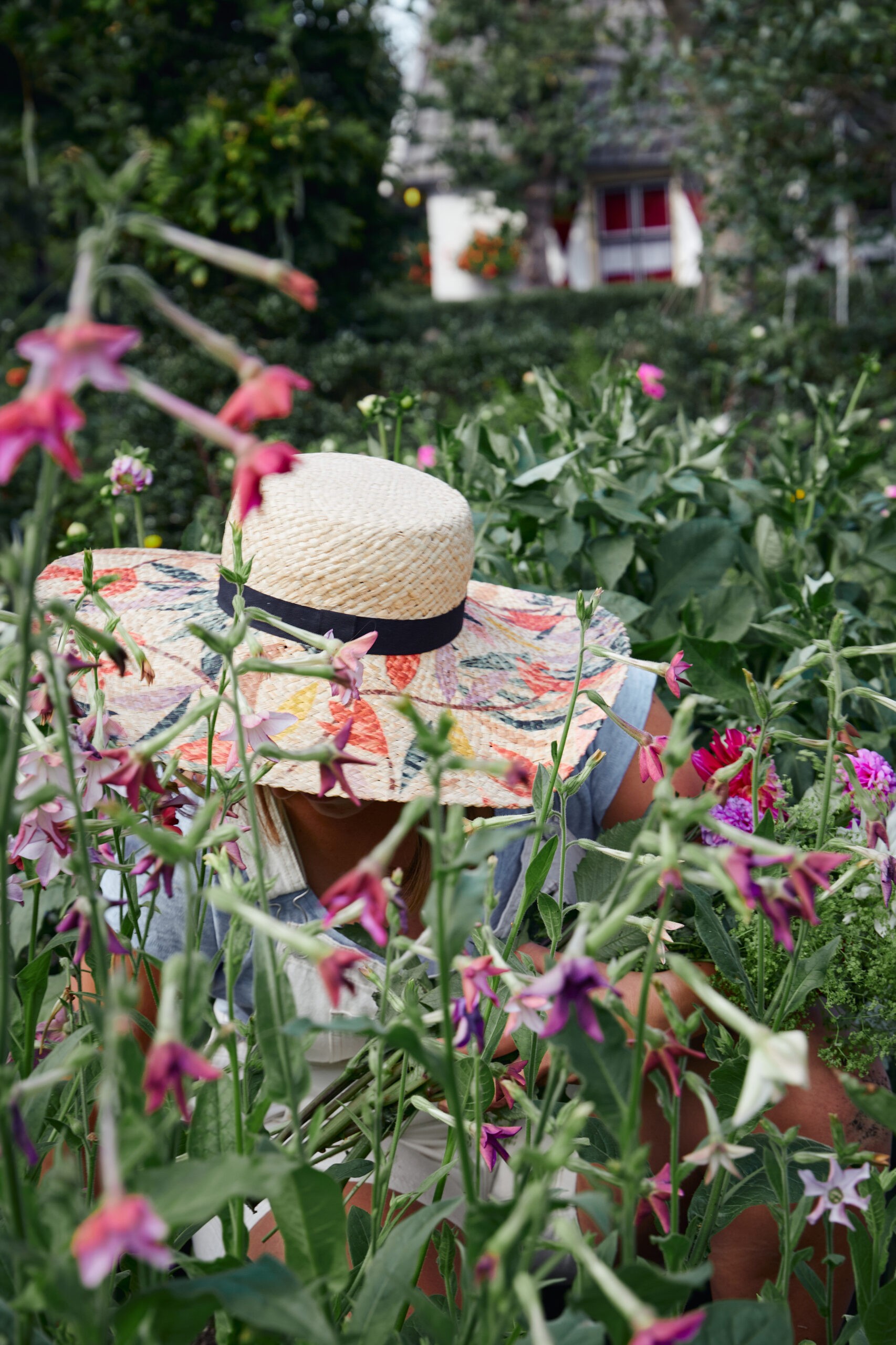 Welke planten nemen mijn tuin over?