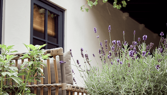 Tuindames-Atelier-Home-Beplantingsplan