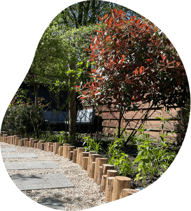 Tuindames atelier - Tuinontwerp